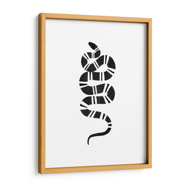 Epidaurus Snake Iii - Emma Scarvey | Cuadro decorativo de Canvas Lab