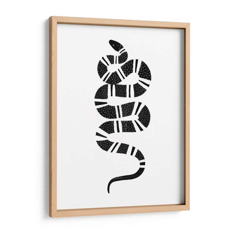 Epidaurus Snake Iii - Emma Scarvey | Cuadro decorativo de Canvas Lab