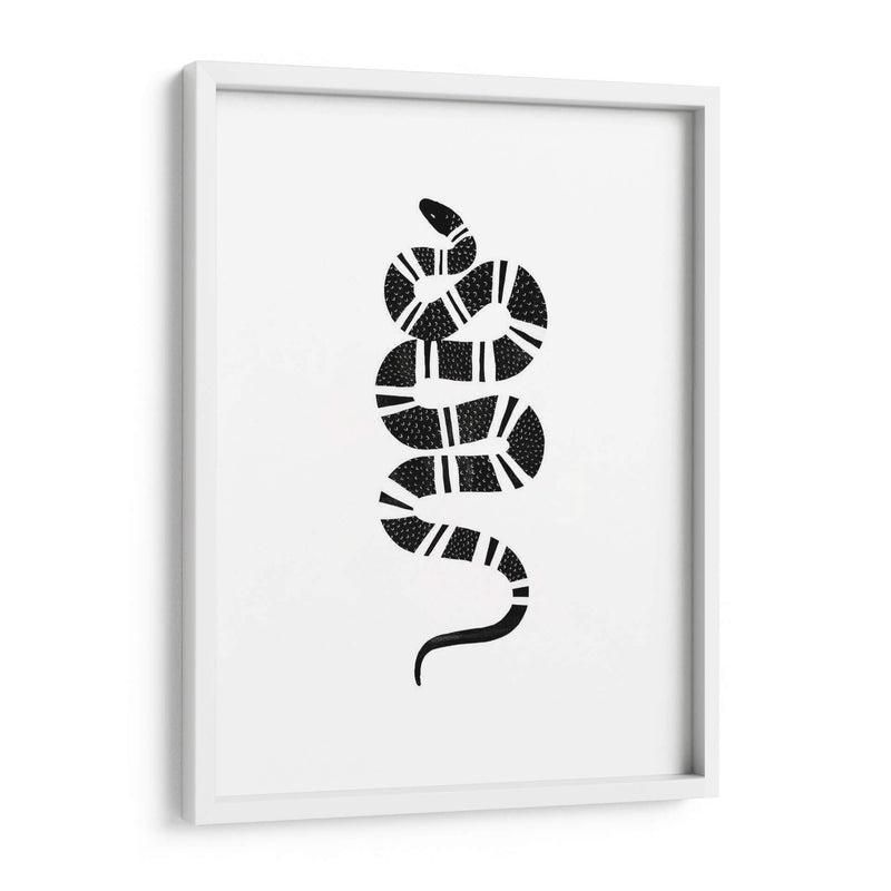 Epidaurus Snake Iii - Emma Scarvey | Cuadro decorativo de Canvas Lab