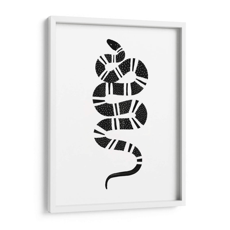 Epidaurus Snake Iii - Emma Scarvey | Cuadro decorativo de Canvas Lab