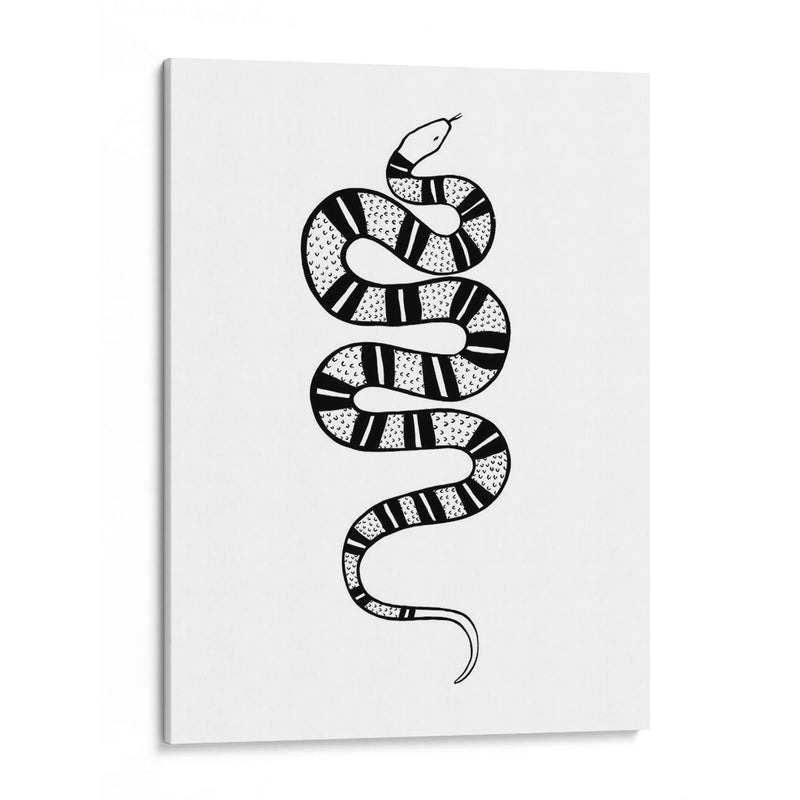 Epidaurus Snake Iv - Emma Scarvey | Cuadro decorativo de Canvas Lab