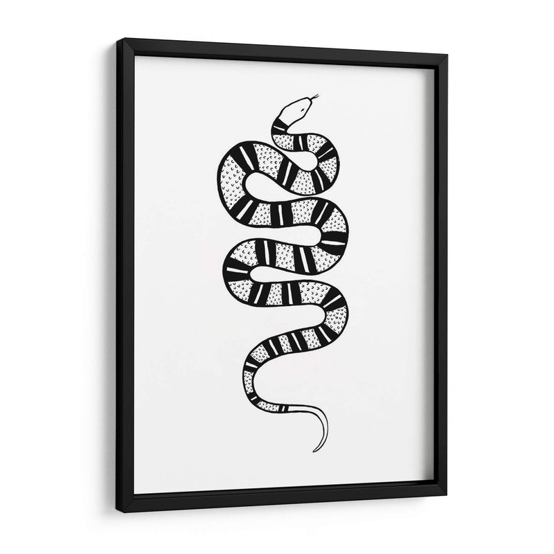 Epidaurus Snake Iv - Emma Scarvey | Cuadro decorativo de Canvas Lab