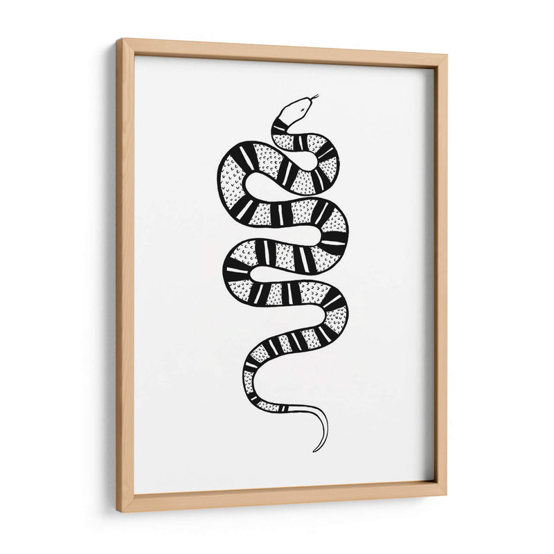 Epidaurus Snake Iv - Emma Scarvey | Cuadro decorativo de Canvas Lab