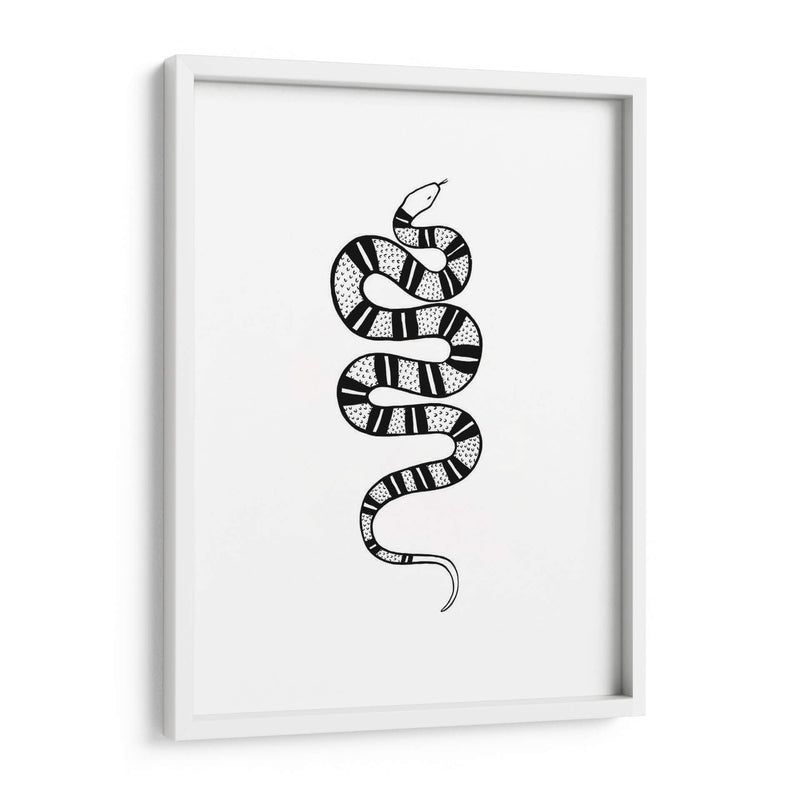 Epidaurus Snake Iv - Emma Scarvey | Cuadro decorativo de Canvas Lab