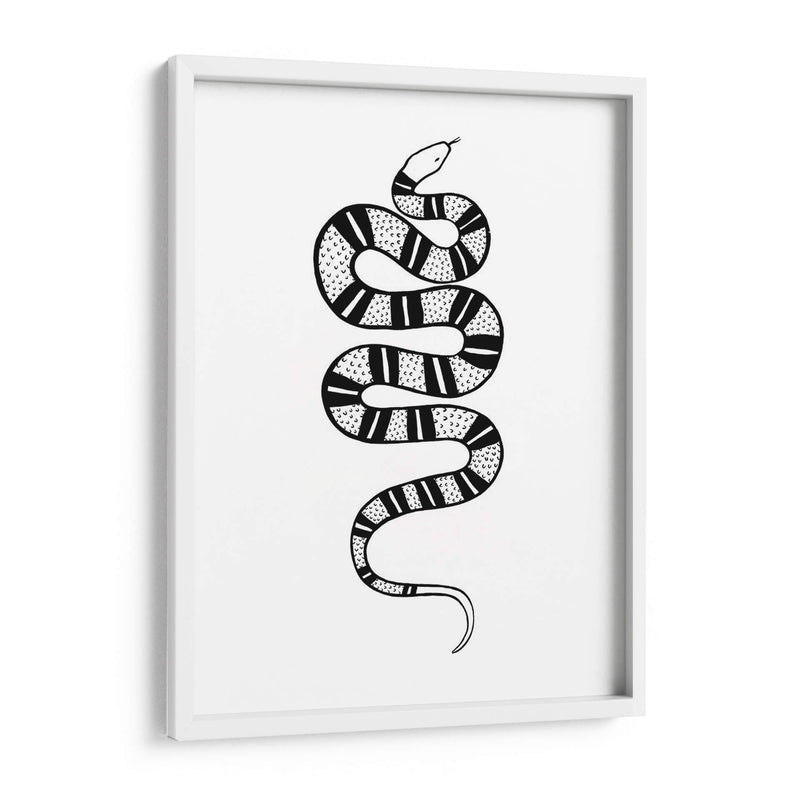 Epidaurus Snake Iv - Emma Scarvey | Cuadro decorativo de Canvas Lab