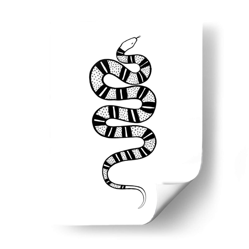 Epidaurus Snake Iv - Emma Scarvey | Cuadro decorativo de Canvas Lab