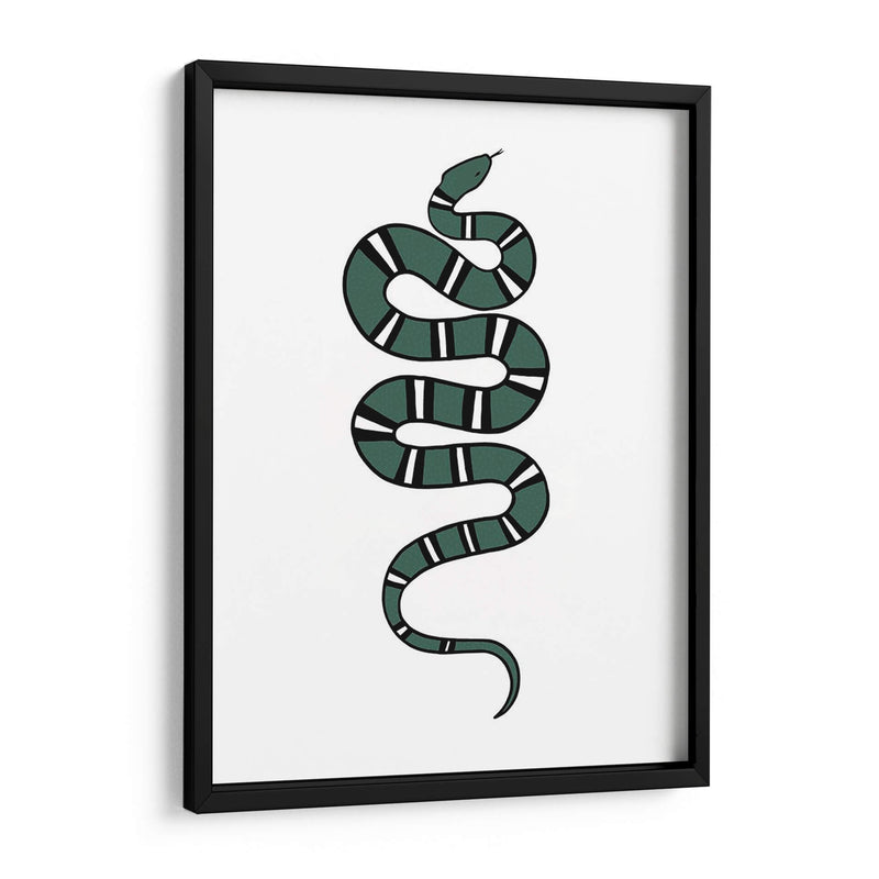 Epidaurus Serpiente V - Emma Scarvey | Cuadro decorativo de Canvas Lab