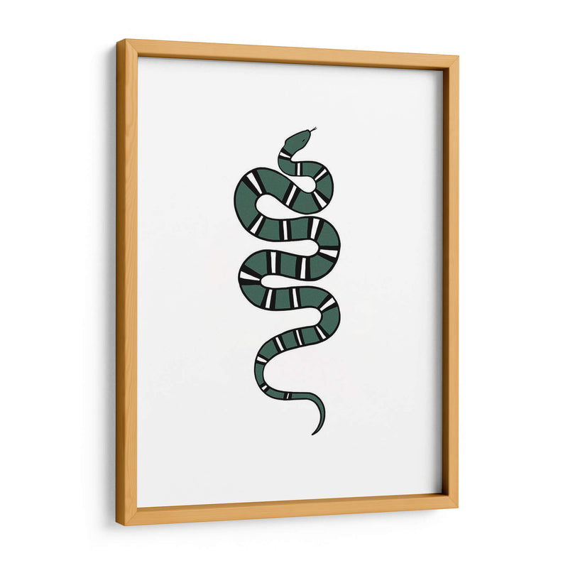 Epidaurus Serpiente V - Emma Scarvey | Cuadro decorativo de Canvas Lab