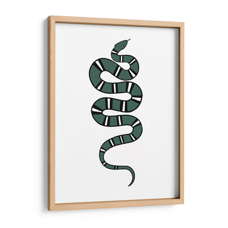 Epidaurus Serpiente V - Emma Scarvey | Cuadro decorativo de Canvas Lab