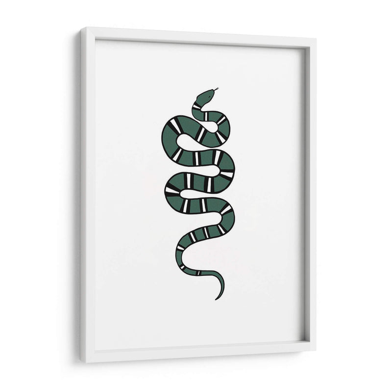 Epidaurus Serpiente V - Emma Scarvey | Cuadro decorativo de Canvas Lab