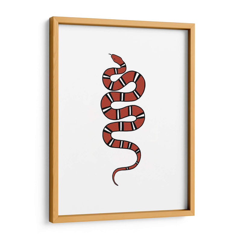 Epidaurus Snake Vi - Emma Scarvey | Cuadro decorativo de Canvas Lab