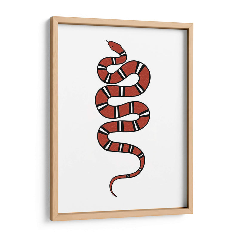 Epidaurus Snake Vi - Emma Scarvey | Cuadro decorativo de Canvas Lab