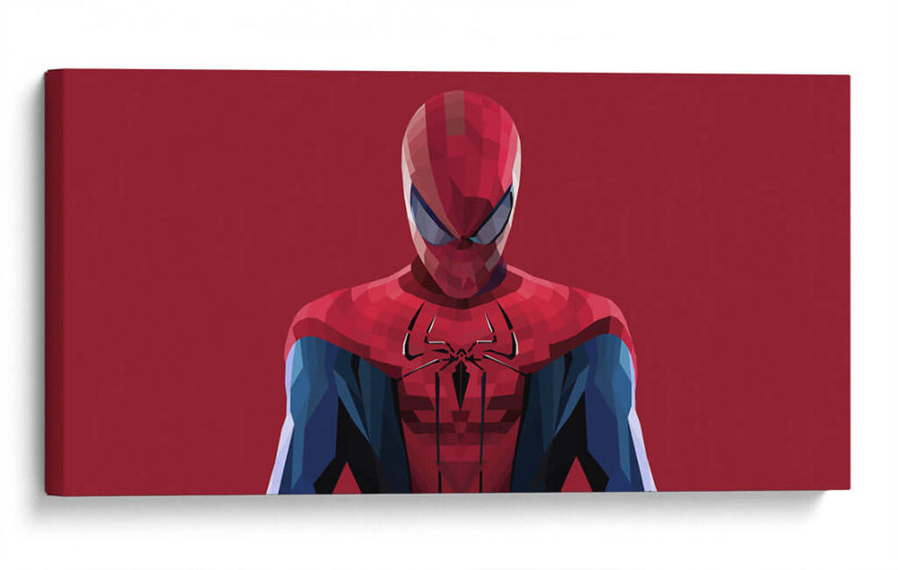 Spiderman vectores | Cuadro decorativo de Canvas Lab