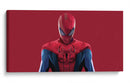 Spiderman vectores | Cuadro decorativo de Canvas Lab