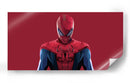Spiderman vectores | Cuadro decorativo de Canvas Lab