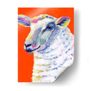 Partido Animal Ii - Victoria Borges | Cuadro decorativo de Canvas Lab