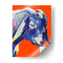 Partido Animal Iii - Victoria Borges | Cuadro decorativo de Canvas Lab