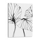 Trópicos Lineales I - June Erica Vess | Cuadro decorativo de Canvas Lab