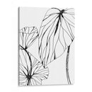 Trópicos Lineales Ii - June Erica Vess | Cuadro decorativo de Canvas Lab