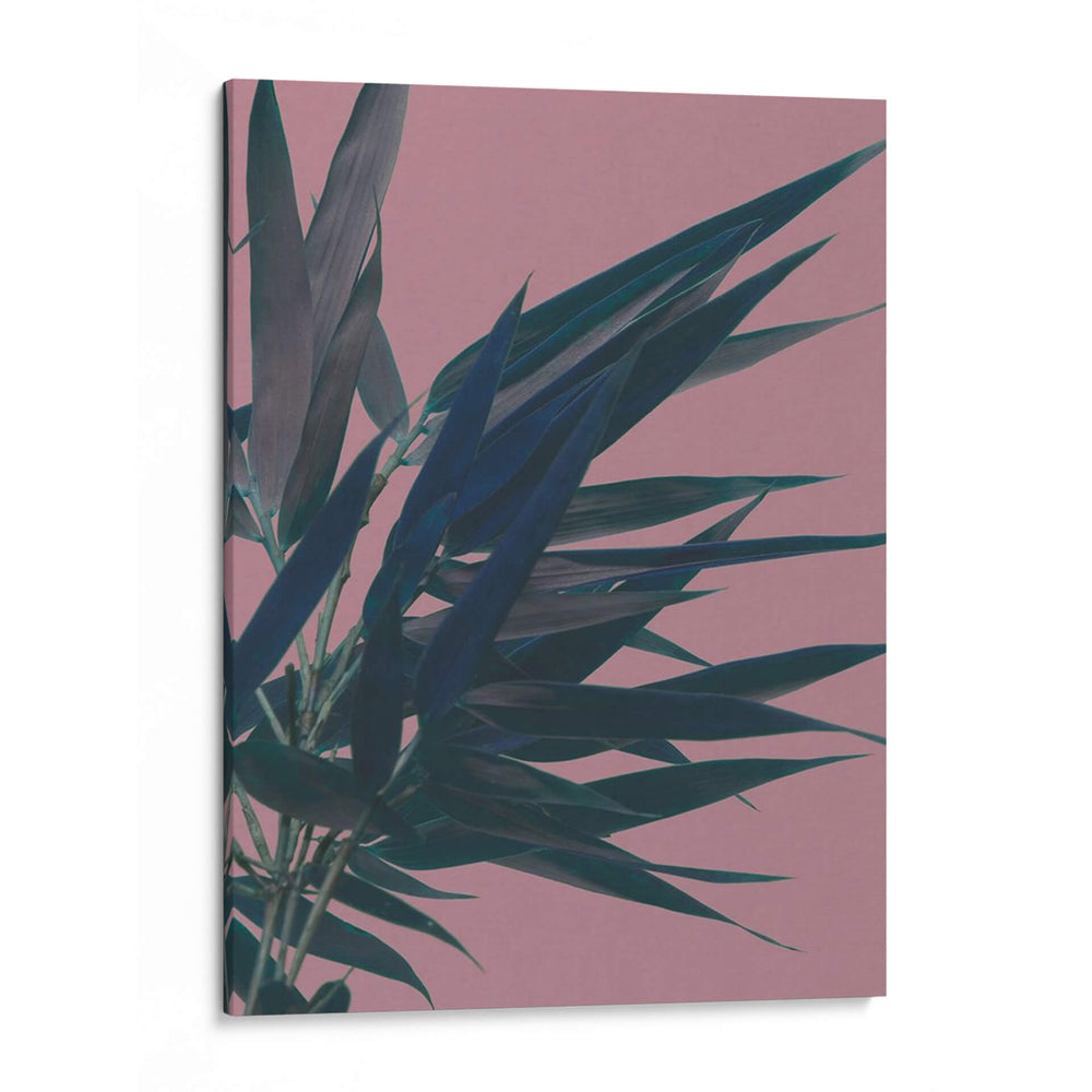 Bambú Rosa I - Renee W. Stramel | Cuadro decorativo de Canvas Lab