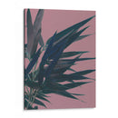 Bambú Rosa I - Renee W. Stramel | Cuadro decorativo de Canvas Lab