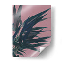 Bambú Rosa I - Renee W. Stramel | Cuadro decorativo de Canvas Lab