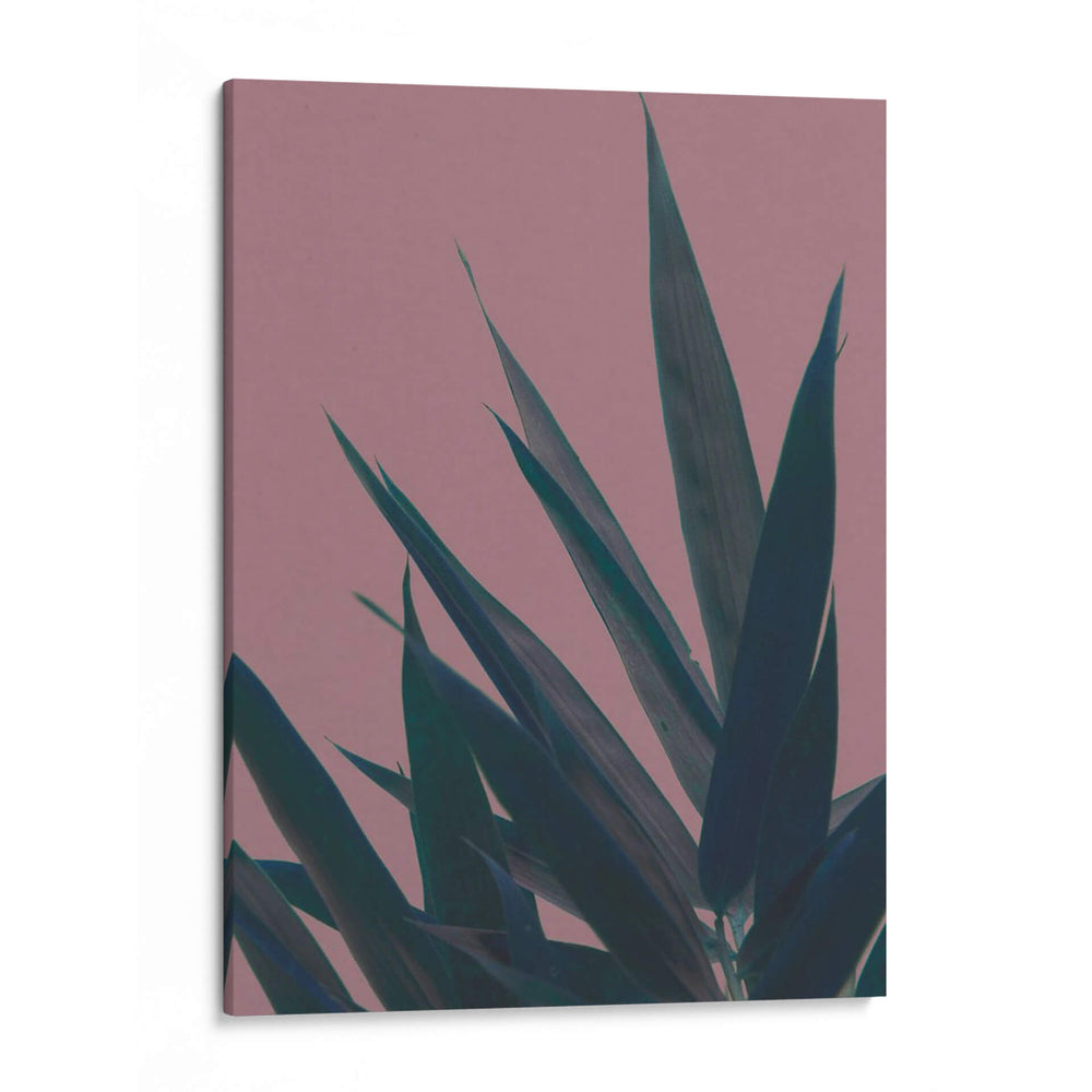 Bambú Rosa Ii - Renee W. Stramel | Cuadro decorativo de Canvas Lab
