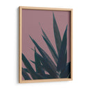 Bambú Rosa Ii - Renee W. Stramel | Cuadro decorativo de Canvas Lab