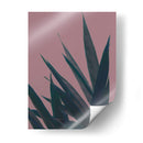 Bambú Rosa Ii - Renee W. Stramel | Cuadro decorativo de Canvas Lab