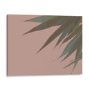 Bambú Pink Iii - Renee W. Stramel | Cuadro decorativo de Canvas Lab