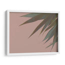 Bambú Pink Iii - Renee W. Stramel | Cuadro decorativo de Canvas Lab