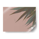 Bambú Pink Iii - Renee W. Stramel | Cuadro decorativo de Canvas Lab