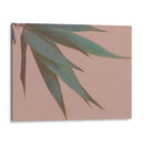 Bambú Rosa Iv - Renee W. Stramel | Cuadro decorativo de Canvas Lab