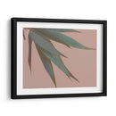 Bambú Rosa Iv - Renee W. Stramel | Cuadro decorativo de Canvas Lab