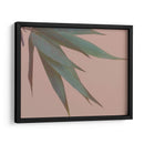 Bambú Rosa Iv - Renee W. Stramel | Cuadro decorativo de Canvas Lab