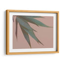 Bambú Rosa Iv - Renee W. Stramel | Cuadro decorativo de Canvas Lab