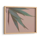 Bambú Rosa Iv - Renee W. Stramel | Cuadro decorativo de Canvas Lab