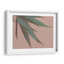 Bambú Rosa Iv - Renee W. Stramel | Cuadro decorativo de Canvas Lab