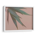 Bambú Rosa Iv - Renee W. Stramel | Cuadro decorativo de Canvas Lab