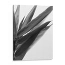 Bandw Bamboo I - Renee W. Stramel | Cuadro decorativo de Canvas Lab