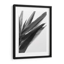 Bandw Bamboo I - Renee W. Stramel | Cuadro decorativo de Canvas Lab