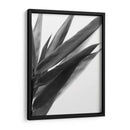 Bandw Bamboo I - Renee W. Stramel | Cuadro decorativo de Canvas Lab