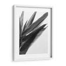 Bandw Bamboo I - Renee W. Stramel | Cuadro decorativo de Canvas Lab