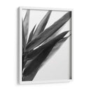 Bandw Bamboo I - Renee W. Stramel | Cuadro decorativo de Canvas Lab