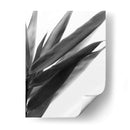 Bandw Bamboo I - Renee W. Stramel | Cuadro decorativo de Canvas Lab