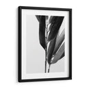 Bandw Bamboo Ii - Renee W. Stramel | Cuadro decorativo de Canvas Lab