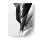 Bandw Bamboo Ii - Renee W. Stramel | Cuadro decorativo de Canvas Lab