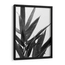 Bandw Bamboo V - Renee W. Stramel | Cuadro decorativo de Canvas Lab