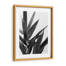 Bandw Bamboo V - Renee W. Stramel | Cuadro decorativo de Canvas Lab