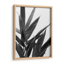 Bandw Bamboo V - Renee W. Stramel | Cuadro decorativo de Canvas Lab